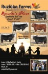 6th Annual Rancher's Choice Simmental Bull Sale