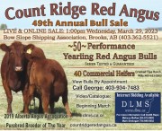 Count Ridge Red Angus 49th Annual Bull Sale